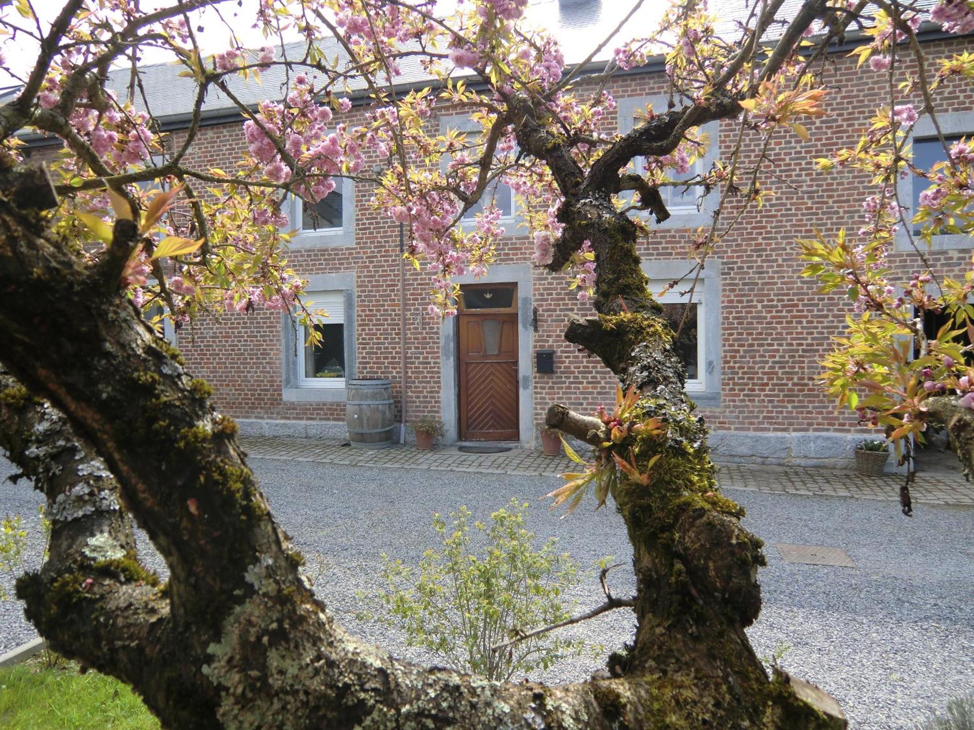 B&B Au Coeur De Villers Exteriör bild